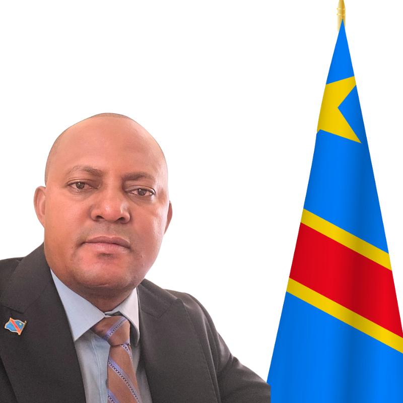 Me Albert LABANI MSAMBYA — Directeur de Cabinet Adjoint