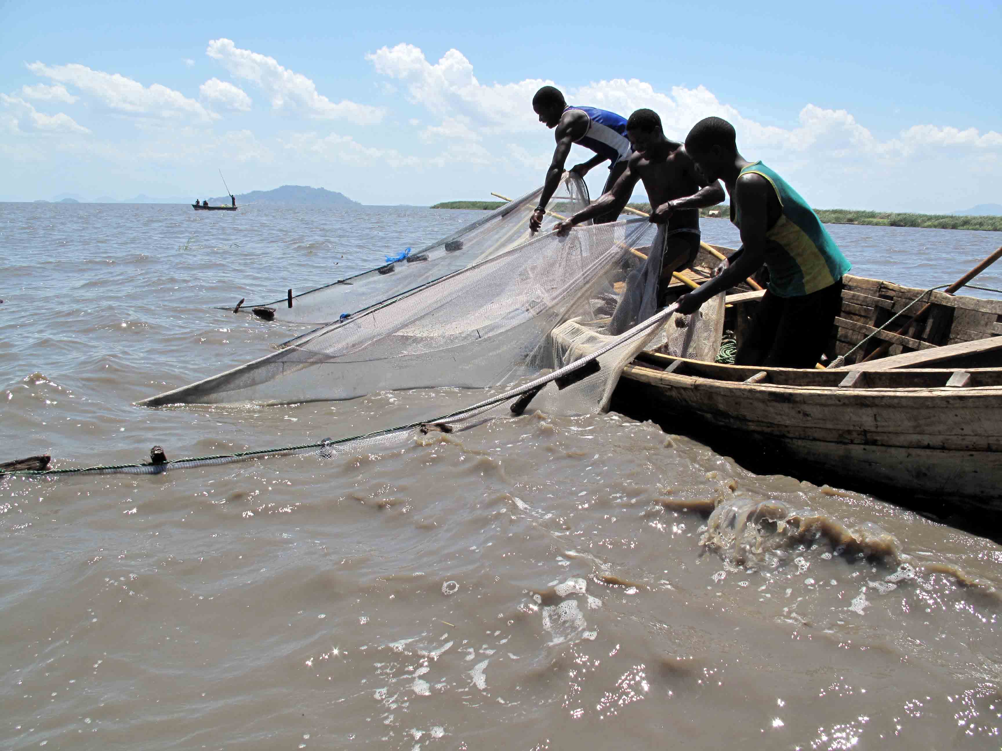 Lac Tanganyika, Province du Sud-Kivu, RDC